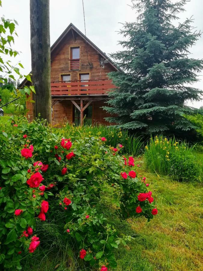 Dom Ignacy Appartement Radochow Buitenkant foto